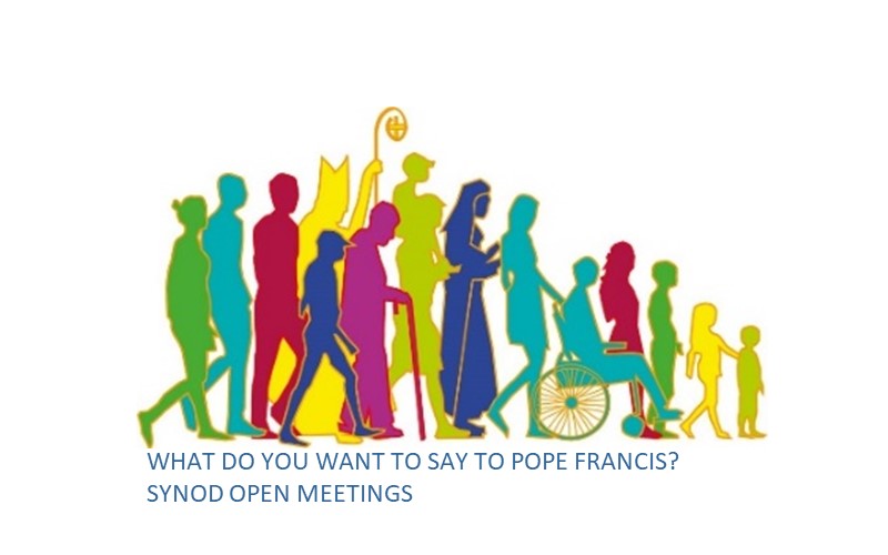 What do you want to say to Pope Francis? Synod Open Meetings