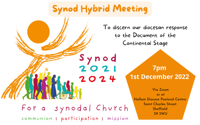 Synod Next Steps