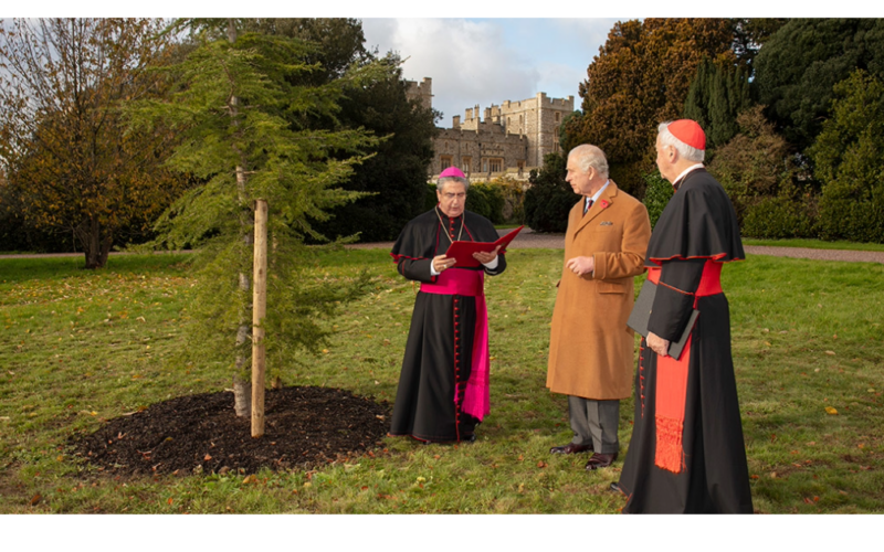 Cedar Tree gifted by Pope Francis to Queen Elizabeth II formally handed over to King Charles III