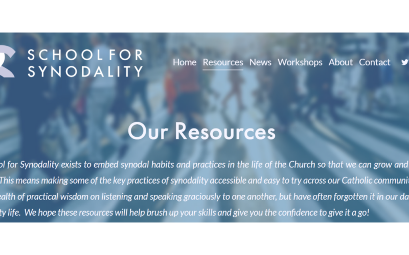 School For Synodality Resources