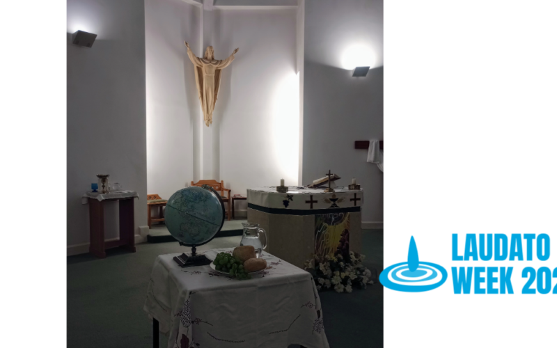 Reflection for Laudato Si’ 10th Anniversary Mass                          