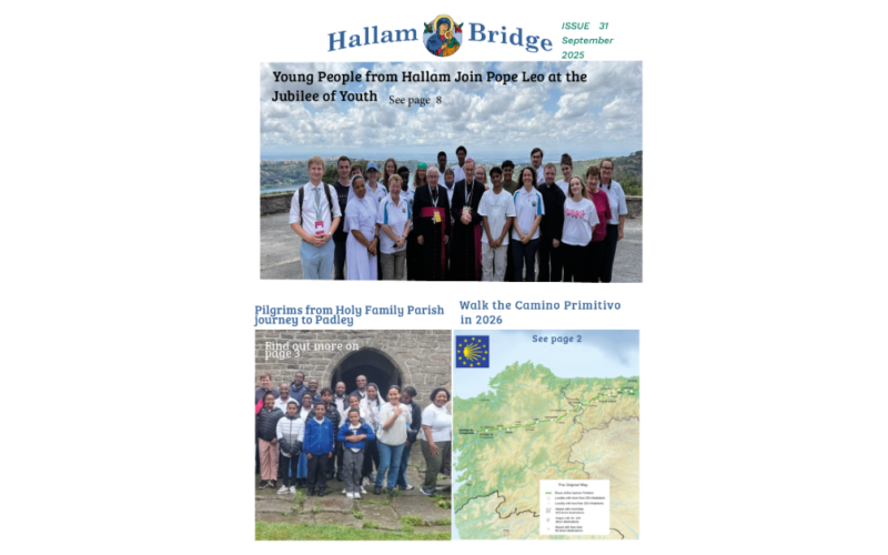 Hallam Bridge – September 2025 – #031