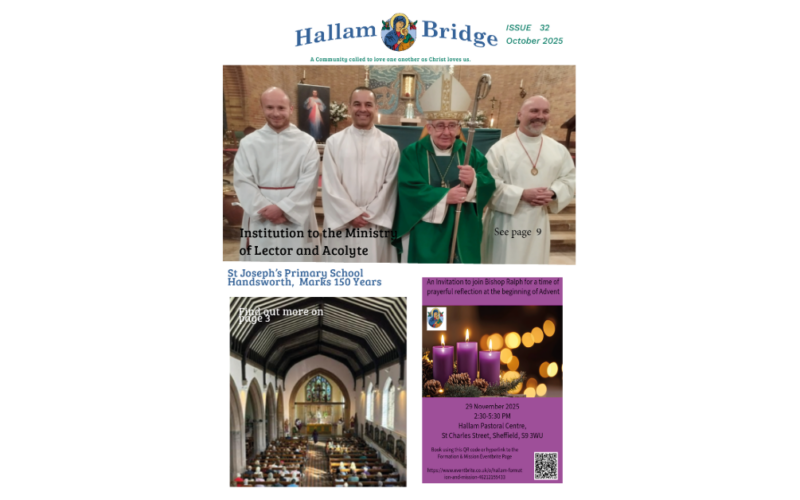 Hallam Bridge – October 2025 – #032