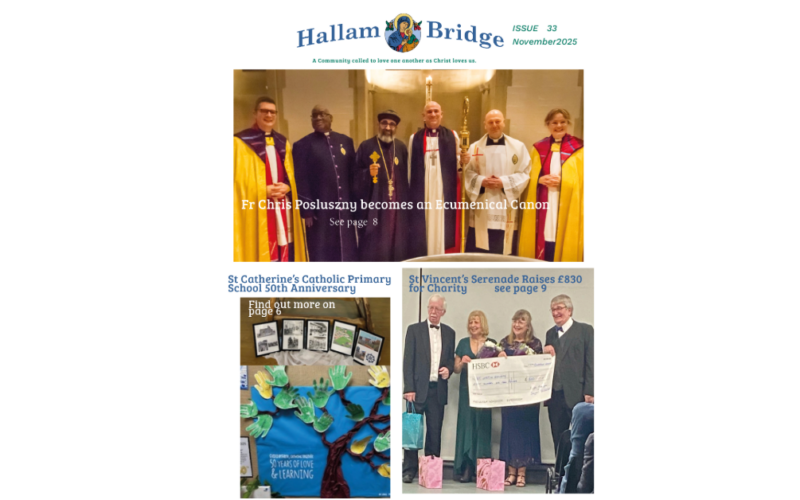 Hallam Bridge – November 2025 – #033