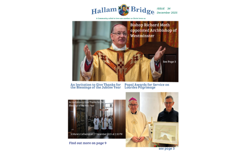 Hallam Bridge – December 2025 – #034