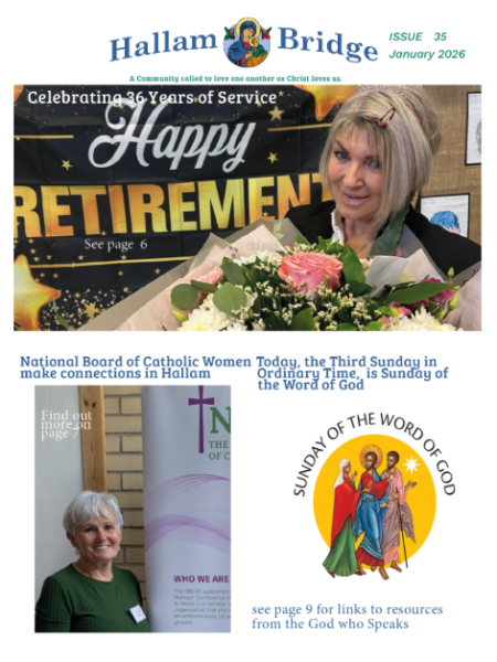 Hallam Bridge – January 2026 2025 – #035