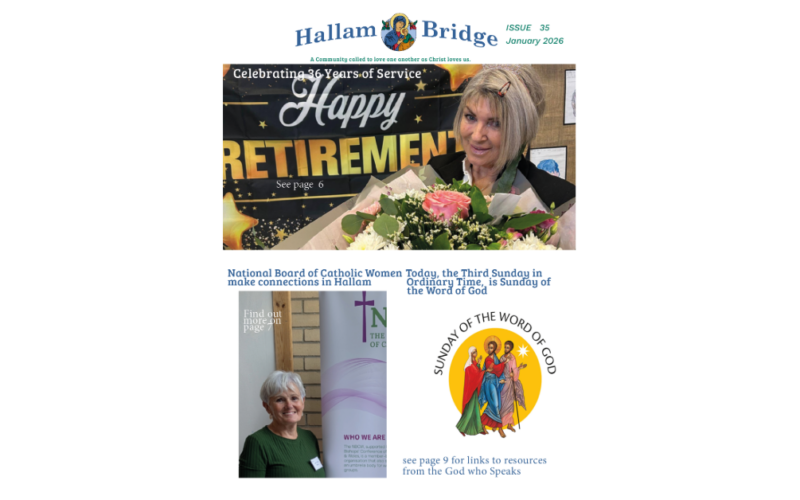 Hallam Bridge – January 2026 2025 – #035