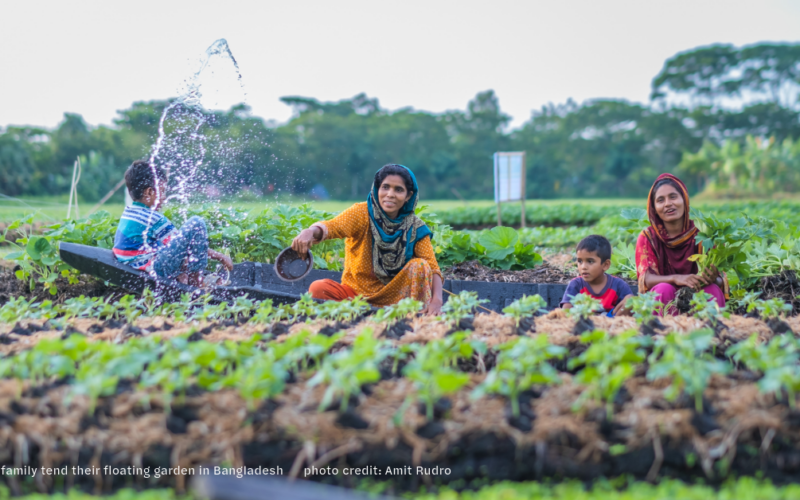 Lent: a spiritual springtime