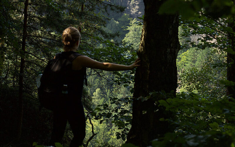 New resource encourages transformation for Our Common Home