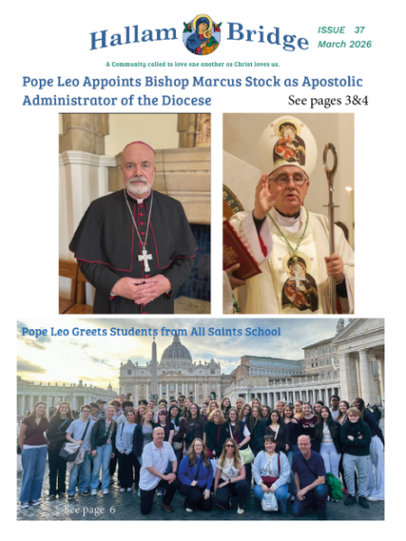 Hallam Bridge – March 2026 – #037