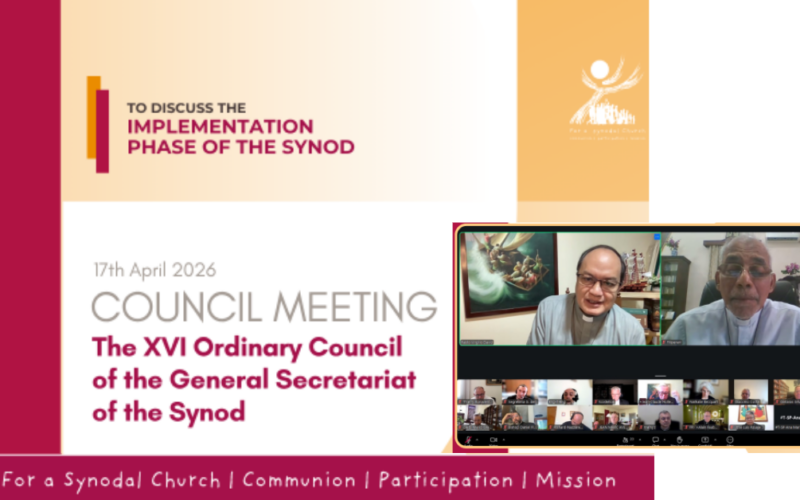 Synod- Implementation Phase Updates