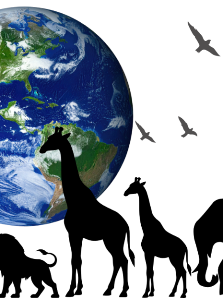 Care For Creation -May 2026