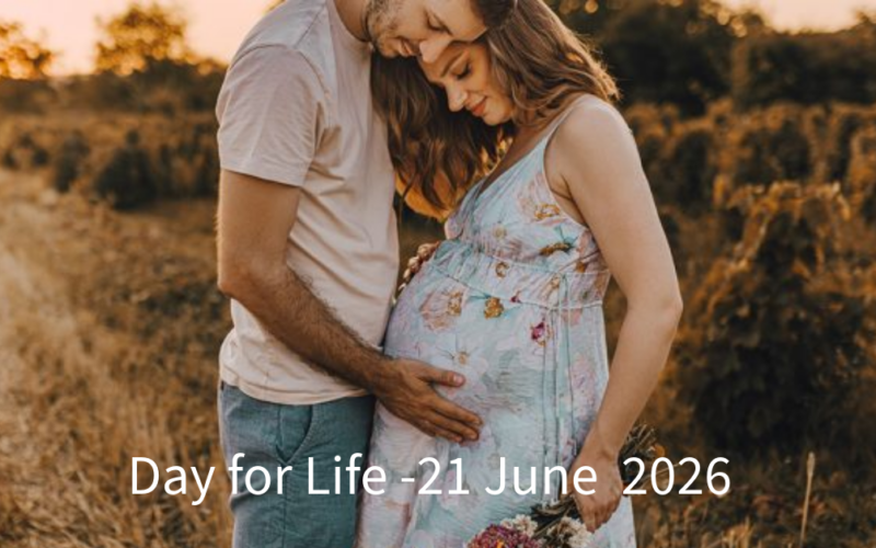 The Wonder of the Child in the Womb
