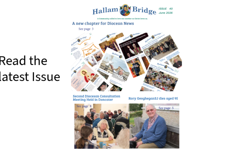 Hallam Bridge – June 2026 – #040