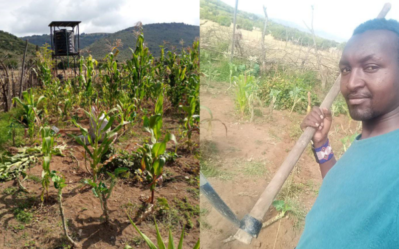 PERMACULTURE PROJECT IN MORIJO LOITA, NAROK, KENYA